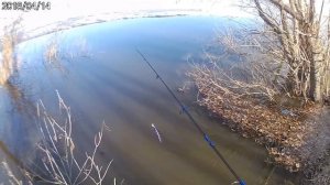 Рыбалка в Самаре(Южный мост)