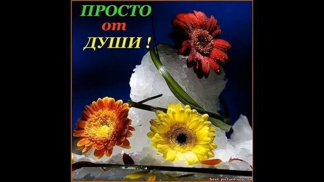 Мой ласковый нежный зверь смотреть онлайн