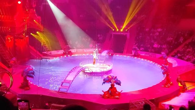 ЦИРК, ЦИРК!!! смотреть онлайн