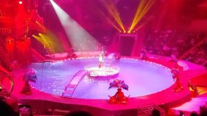 ЦИРК, ЦИРК!!!