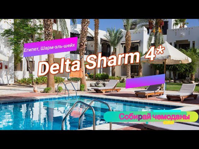 Отзыв об отеле Delta Sharm 4* (Египет, Шарм-эль-шейх) смотреть онлайн