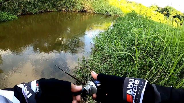 คลิปสั้นๆ กัดเน้นๆ กระสูบคลองมวกเหล็ก Abu Garcia Silver Max3 + Abu Garcia Diablo смотреть онлайн
