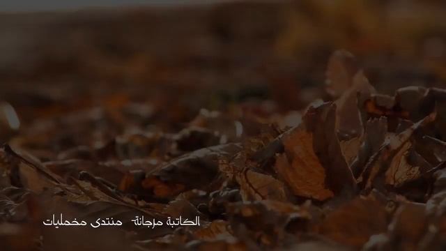 بلا جسد смотреть онлайн