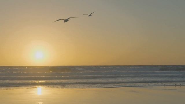 Sony FX30 - Chasing Sunsets смотреть онлайн