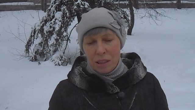 Отзыв о франшизе Онлайн наблюдение в детских садах смотреть онлайн