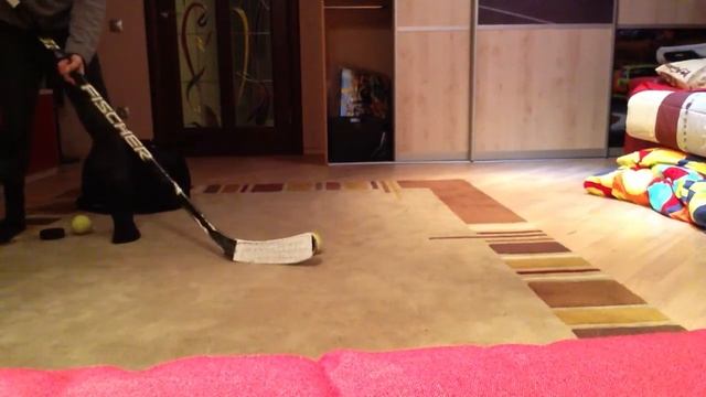 как научится бросать и щелкать смотреть онлайн