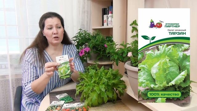 Шикарные петуньи и огурцы можно вырастить дома в горшке . Создайте себе настроение сами! смотреть онлайн