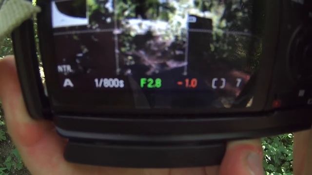 Стрит фотография как снимать Режим Замера Фокуса влог с Фовеонычем смотреть онлайн