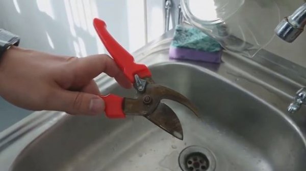 VALERA removes rust in real time