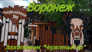 Зоопитомник Червленый яр, Воронеж.mp4