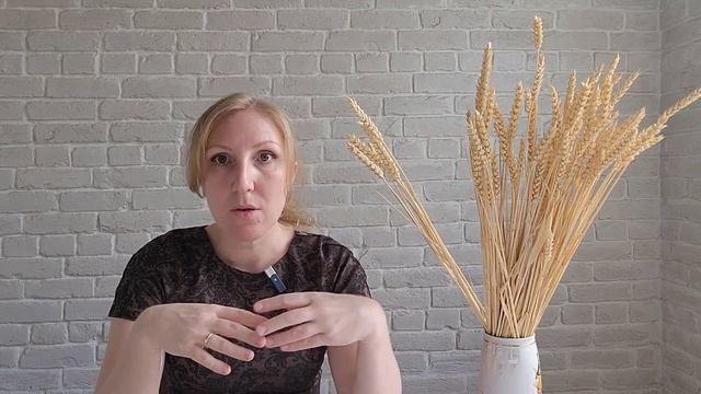 Покоряем столицу за 15 лет. Обыкновенная история. И.А.Гончаров. Психологический разбор. смотреть онлайн