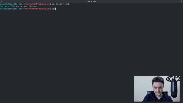 The Only WP CLI Tutorial You’ll Ever Need смотреть онлайн