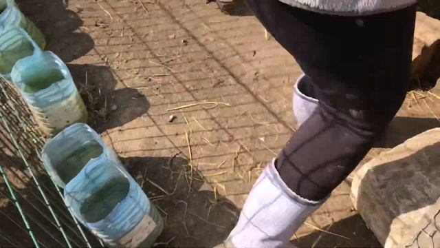 Уникальные Гнёзда с яйцеприемником своими руками-расклева яиц не будет! смотреть онлайн