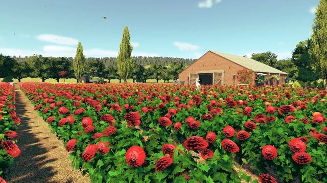 Planet Coaster - Dutch dahlia flower field смотреть онлайн