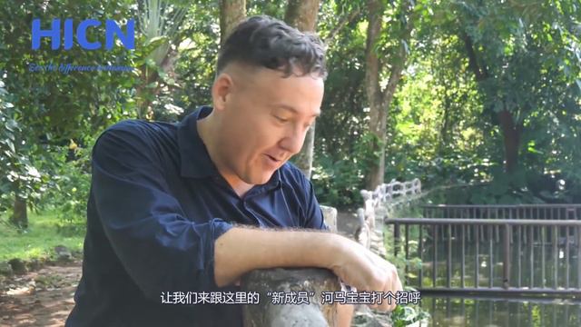 Step into a world of wildlife with Tommy смотреть онлайн