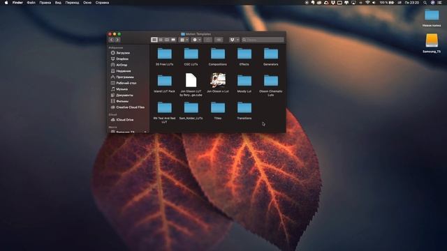 КАК УСТАНОВИТЬ ЭФФЕКТЫ И ПЛАГИНЫ В FINAL CUT PRO X (HOW TO INSTALL TRANSITIONS INTO FCPX) смотреть онлайн