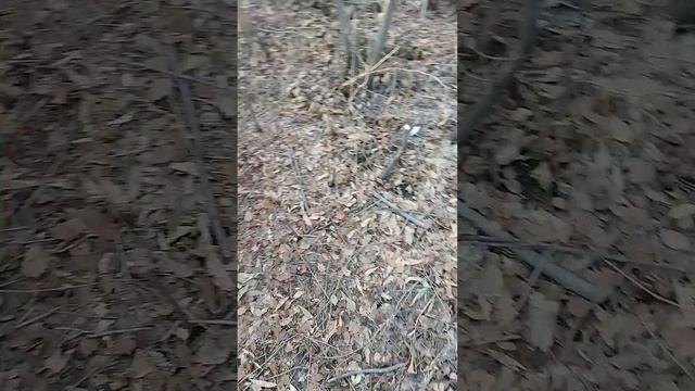 Обзор на сучкорез PALISAD 60520 #3 смотреть онлайн