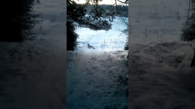 Часть 2.Когда катались на ватрушке чуть не сломали шею!!! смотреть онлайн