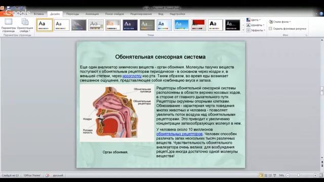 ЕГЭ по биологии 11 класс Занятие 41. Анализаторы, их строение, разнообразие смотреть онлайн