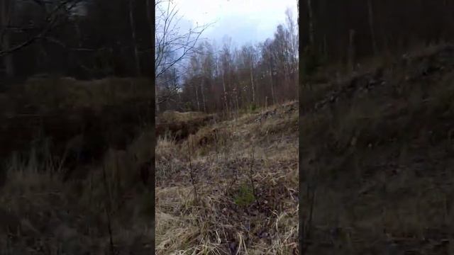 #дом#уводы#дача#Эсмарха#родовое#гнездо# смотреть онлайн