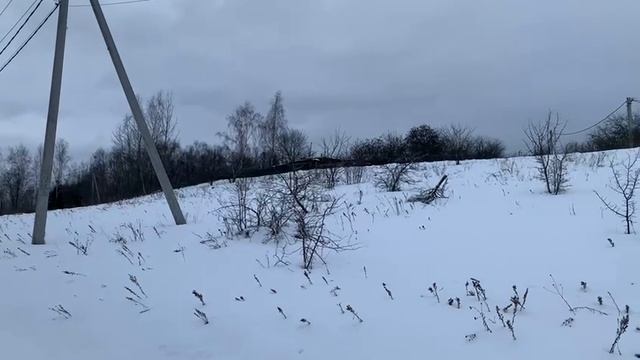 Видео 1750 смотреть онлайн