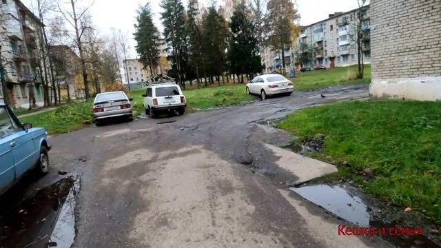 МОЕ УТРО 2020 / СИНИЦА ЗАЛЕТЕЛА НА БАЛКОН/ НОВОСТИ ОТ СТУДЕНТА ОЛЕГА