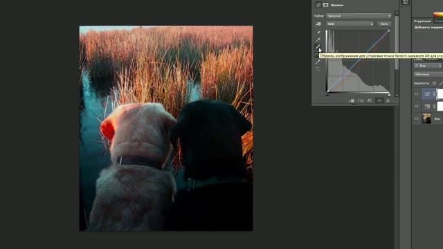 Видеоурок «Уровни и цветокоррекция в Adobe Photoshop» смотреть онлайн