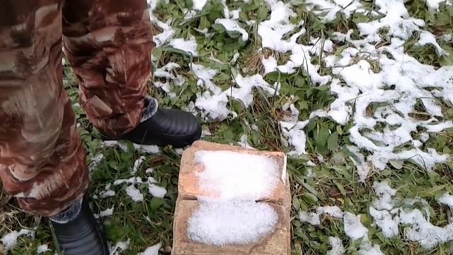 Прогулка смотреть онлайн