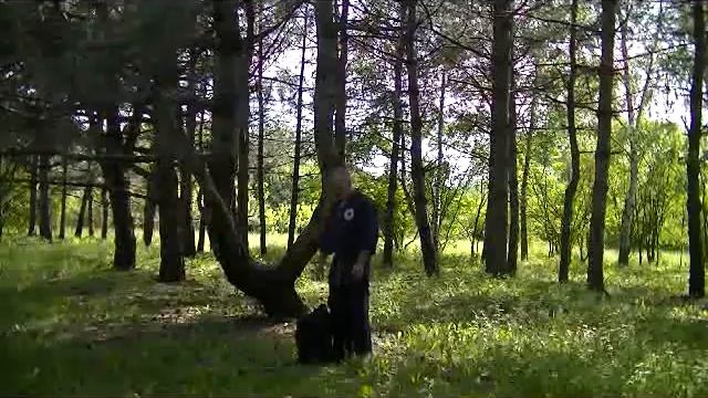 Цигун видео практика правильного поднятия тяжестей смотреть онлайн