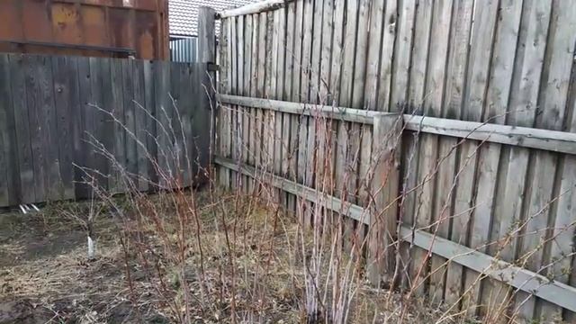 Дела огородные смотреть онлайн