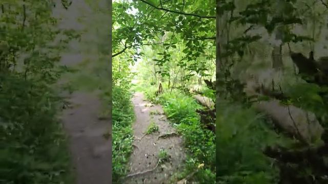 Белогорка. Родник. смотреть онлайн