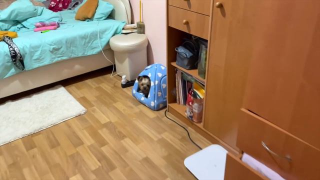Собираем вещи🧳Что нужно брать?😔Вся правда😱VlOG смотреть онлайн