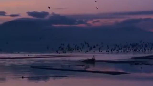 Всё нужно пережить на этом свете автор слов Алёна Карасенко смотреть онлайн