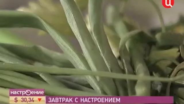 Бутерброд на Терке Бернер смотреть онлайн