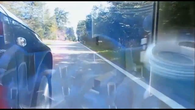 Motor System Reininger Benzin and Diesel - очиститель системы двигателя смотреть онлайн