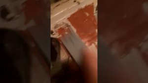 димексид и краска.