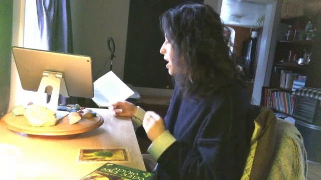 What it looks like when I podcast Herb Oracle смотреть онлайн
