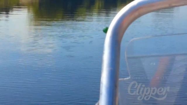 Обзор на катер Wyatboat 430 DC смотреть онлайн