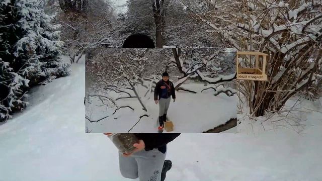 Развешиваем кормушки для птиц!!! /We hang out bird feeders!!! / смотреть онлайн