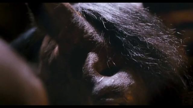 Обзор Фильма БРАТЬЯ ГРИММ