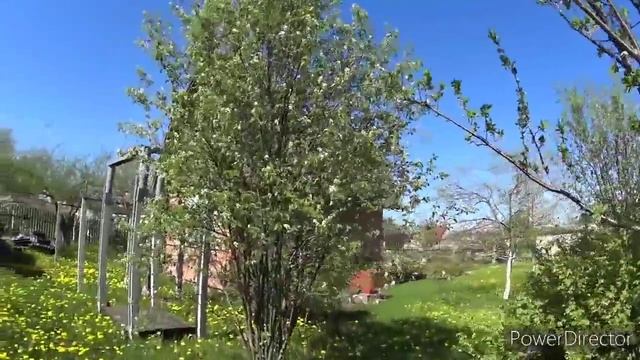 Наконец-то вырвались на дачу. Занимаемся прополкой. Ловим муравьёв. Кошки уже пузатые.Vlog.Брест смотреть онлайн