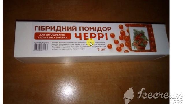 Как меня развели...? ДОМАШНИЕ ПОМИДОРЫ на окне. Помидоры Черри на Новый год ? смотреть онлайн