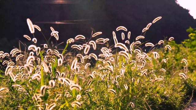 Wind chime / Meditation music Музыка ветра/ Музыка для медитации смотреть онлайн