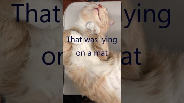 past-continuous-song by Zdeněk Rotrekl смотреть онлайн