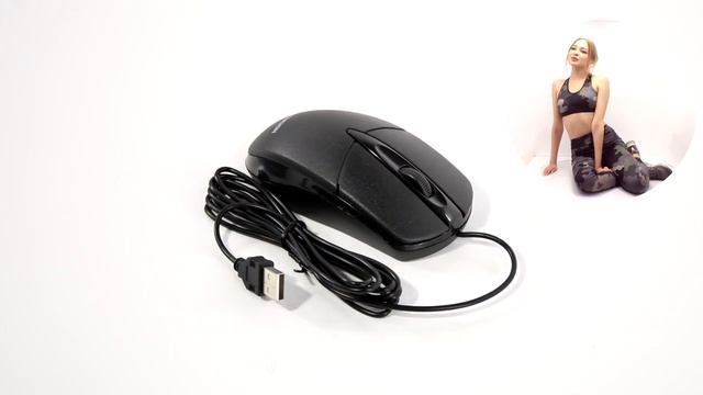 НИКС Звездный бульвар 19 и еще 100 магазинов в РФ: не самое плохое видео про Проводная Мышь EXEGATE смотреть онлайн