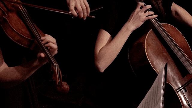 скрипка и виолончель разговаривают друг с другом смотреть онлайн