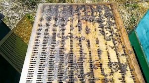 Ганемановские решётки, видео сравнение двух типов решёток