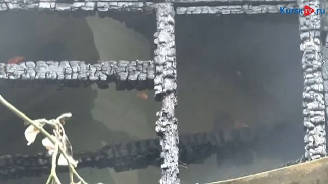 В Курской области 7-летняя девочка сожгла дом и чуть не сгорела сама смотреть онлайн