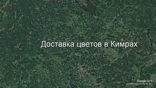 Доставка цветов в Кимрах - Заказ букетов от компании Скорая подарочная помощь смотреть онлайн