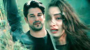 И ЖИЗНЬ, И СЛЕЗЫ, И ЛЮБОВЬ В ЭТОЙ ПЕСНЕ! - ВОЛОСЫ - ИСП. ЮРИЙ ШАТУНОВ ( СВЕТЛАЯ ПАМЯТЬ )